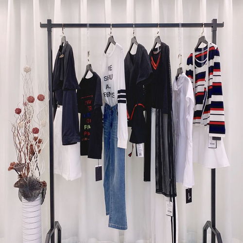 女裝批發(fā)精品女裝批發(fā)中老年春秋女裝上衣外套加肥加大碼女裝外套200斤裙子